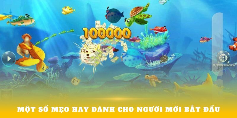 Một số mẹo hay dành cho người mới bắt đầu