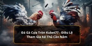 đá gà cựa tròn